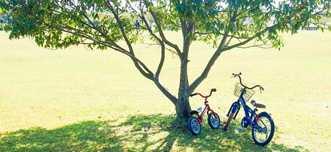 ネットde保険@さいくる 自転車保険