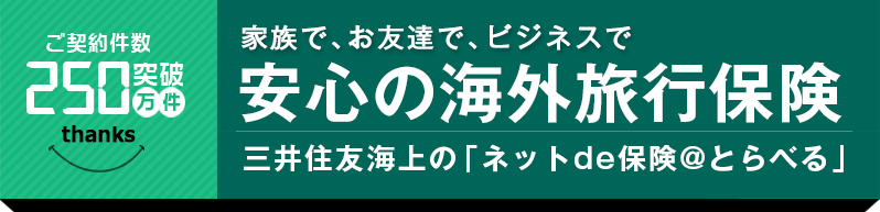 家族で、お友達で、ビジネスで 安心の海外旅行保険 三井住友海上の「ネットde保険@とらべる」