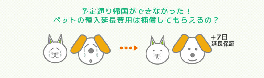 予定通り帰国ができなかった！ペットの預入延長費用は補償してもらえるの？+7日延長保証